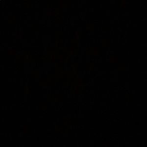 Meet your Posher, Aiden